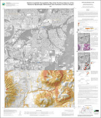 shallow landslide susceptibility map