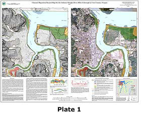 Plate 1