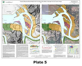 Plate 5