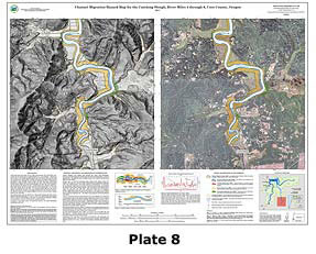Plate 8