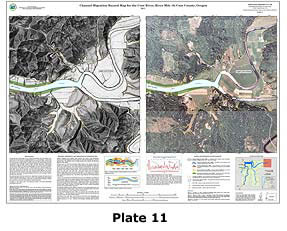 Plate 11