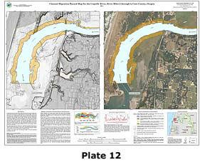 Plate 12