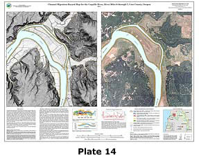 Plate 14