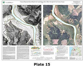 Plate 15