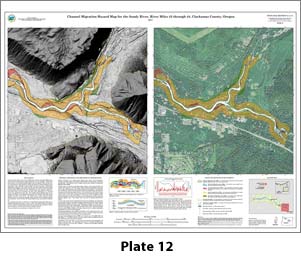 Plate 12