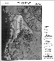 Open-File Report image